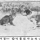 사진관시선