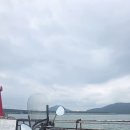 스쿠러 혼다scr110 이미지