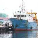 동해-단속-28 이미지