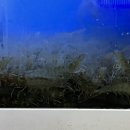창우수산 네이버블로그