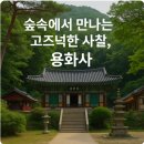 박동약수터 | 🛕 “도심 속 고요한 쉼표” 동탄 용화사, 자연과 마음을 비우는 시간