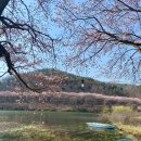 고남저수지 이미지