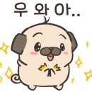 미코정원 네이버블로그
