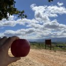 전식농장 | 산티아고 순례길 - 3일차 - 폰페라다(Ponferrada) → 비아프랑카 델 비에르소(Villafranca Del Bierzo...