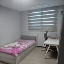 일룸 포항중앙점 네이버블로그