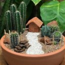 원예심리치료전문가과정 이미지