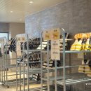 썬파크장 이미지