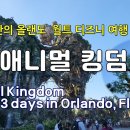 13일간의 플로리다 올랜도 (월트 디즈니 월드) 여행 #7 – 애니멀 킹덤 13 days in Orlando, Florida, USA 이미지