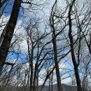 백련사안내소 이미지