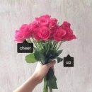 원츄 이미지