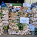 본량초교병설유치원 이미지