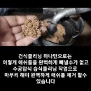 광주 카 닥터 이미지