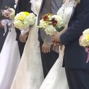 시골미디어 이미지
