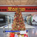 광안동물병원 | 광안역 펫스테이션