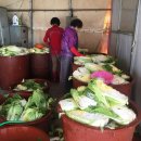 오치경로당 이미지