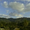 송승현농장 이미지