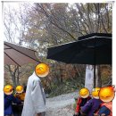 세심정 Daum카페