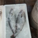 수산자원관리법 - 수산자원조성 - 금액부과 이미지