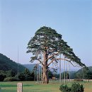 속리산 - 성남시 중원구 시민로117번길 2 | 속리산