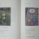 소도리