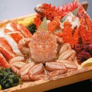 2026년 2월22~25일 순백의 러브레터! 북해도 3박4일 눈꽃.온천(2박) 이미지