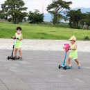 오토와이드365 이미지