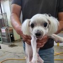 권관3리마을회관 이미지