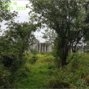 삼현보건진료소 이미지