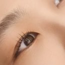 브래쉬