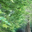 칠갑산자연휴양림 이미지