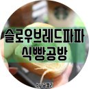 슬로우브레드파파
