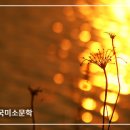 ♣4540번째 한국미소문학 아침편지(흔들지 말라 - 배윤주 시인) 이미지