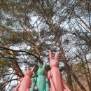 해금(중급) 이미지