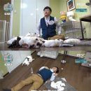 마리텔 - 서산시 읍내1로 5 | 마리텔