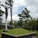 정난주마리아묘? 이미지