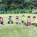 호계운동장 이미지