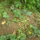 이일주농장 이미지