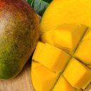 새벽아침농장 이미지