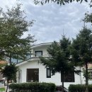 대봉2동 골목길 옹 | 대구 수성구 | 꼬숑하우스 두산동 감성 브런치 맛집 추천 | 주차. 반려동물