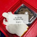 용인실내바다낚시터 이미지