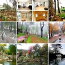 자연의 소리 이미지