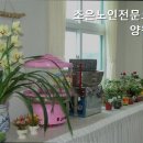 조은노인전문요양원 | 내룡리요양원 조은노인전문요양원 어르신을 위한 사랑