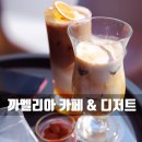 까멜리아(우베베) 이미지