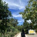 이을 한옥 스테이 이미지