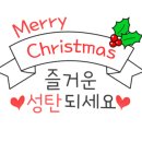 직장인 힐링 원예치료 이미지
