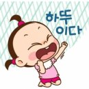 인셀덤YES