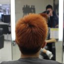헤어이모션 이미지