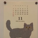 (주)싱코스 이미지