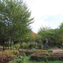 몽마르뜨 이미지