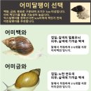 금와